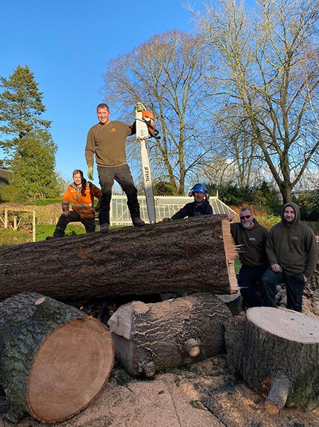 photo of Tree surgeons Pangbourne Tree surgeons Pangbourne